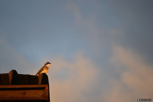 Nikon AF-S 55-200mm VR 大樓