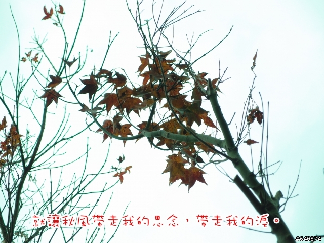 【勁戰騎士俱樂部】久違了,武嶺。
