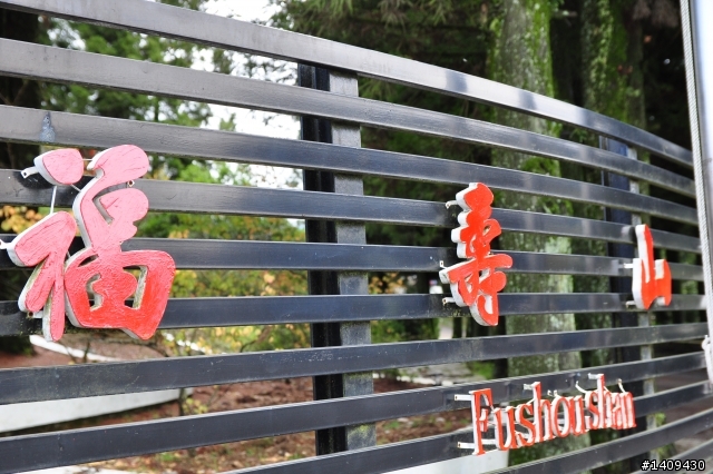 在輕風、薄霧、細雨中奔向福壽山顛