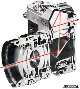 新手疑惑與解答大樓(操作與細節說明以NIKON機種為主)