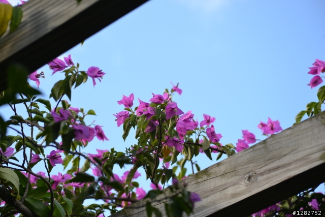 Nikon AF-S 55-200mm VR 大樓