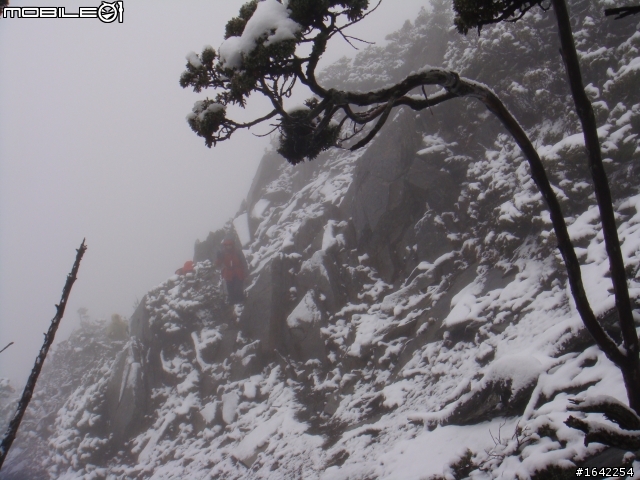 2011/11秀姑巒山初雪