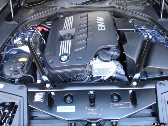 日本BMW30周年紀念限定車528i- 軽井沢紅葉之旅&開箱