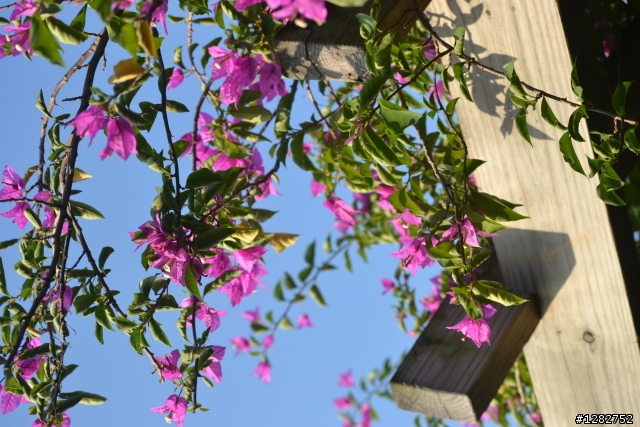 Nikon AF-S 55-200mm VR 大樓