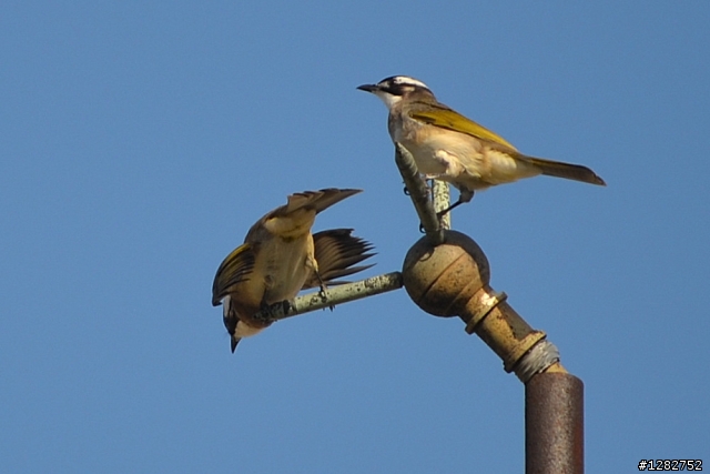 Nikon AF-S 55-200mm VR 大樓
