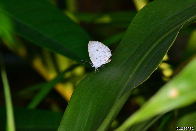 Nikon AF-S 55-200mm VR 大樓
