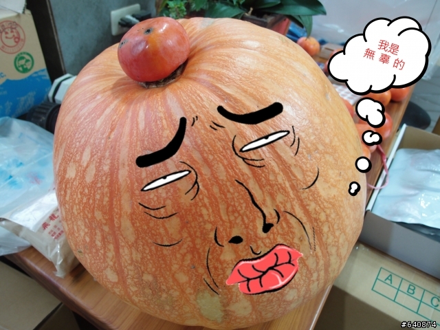 【勁戰騎士俱樂部】久違了,武嶺。