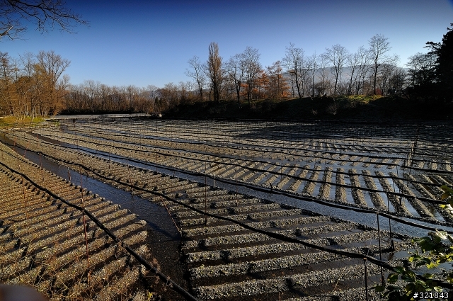 (分享)我與D300的(名古屋)北陸之旅