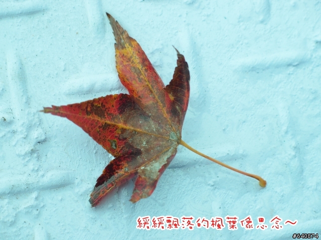【勁戰騎士俱樂部】久違了,武嶺。