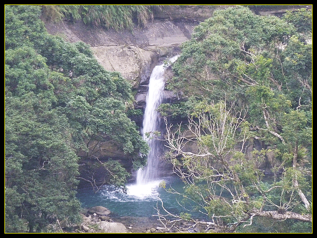 2011.11.21_獨客獨行再續鐵道情!(二、水社寮站-遇見國寶)