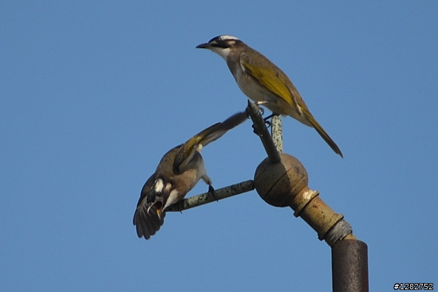 Nikon AF-S 55-200mm VR 大樓