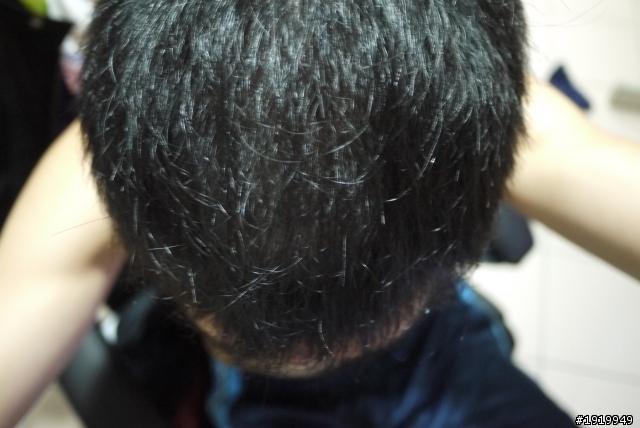 我的長毛日記........