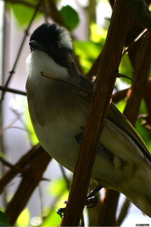 Nikon AF-S 55-200mm VR 大樓