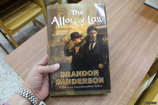 迷霧之子帶給我對BRANDON SANDERSON作者的激賞及追尋