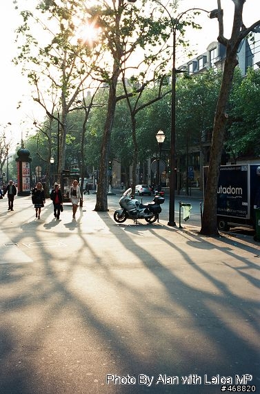 北法 with Leica MP