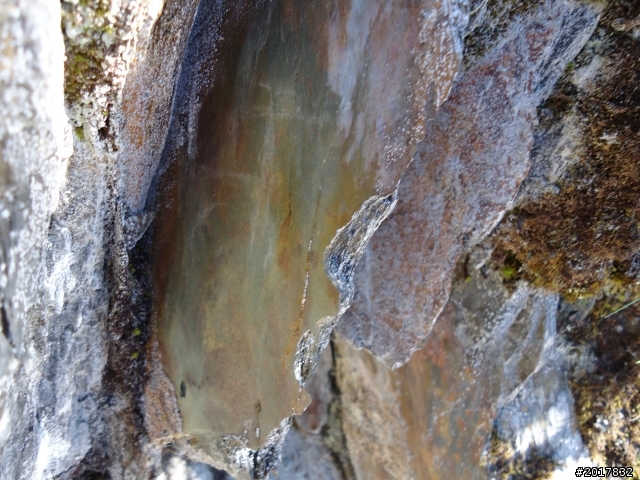 11/14塔塔加朝聖之旅(鹿林山跟玉山西峰下觀景台)