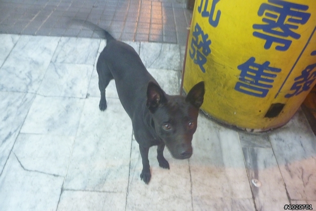 2011/11/12-15 圓夢計劃繞島行 Day 4 雲林→台北 (完)