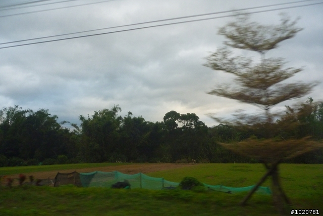2011/11/12-15 圓夢計劃繞島行 Day 4 雲林→台北 (完)