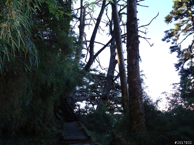 11/14塔塔加朝聖之旅(鹿林山跟玉山西峰下觀景台)