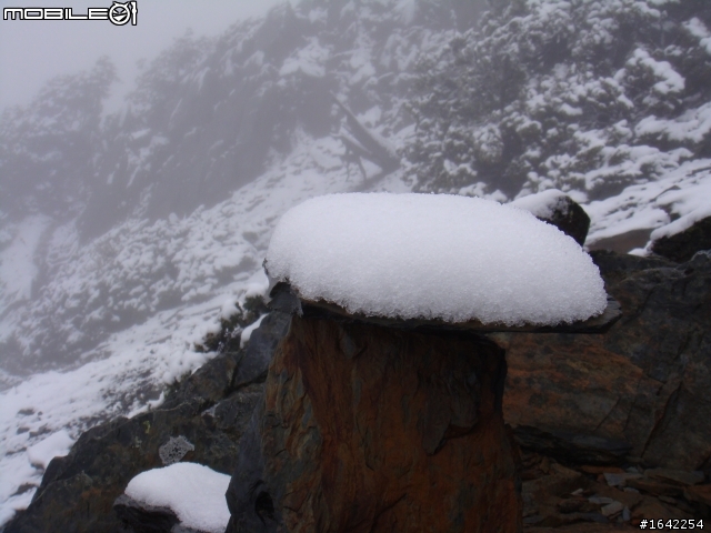 2011/11秀姑巒山初雪
