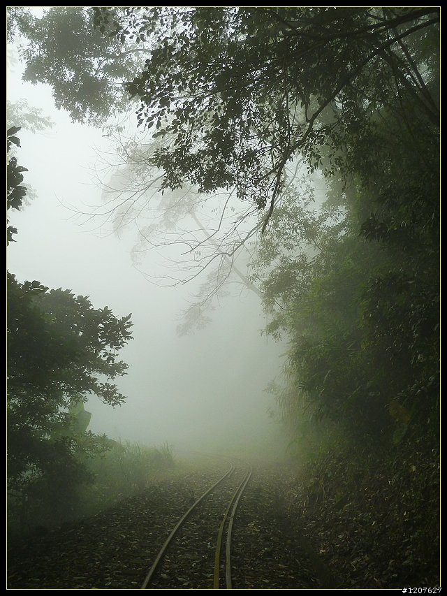 2011.11.21_獨客獨行再續鐵道情!(二、水社寮站-遇見國寶)
