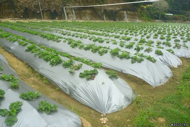 2011/11/12-15 圓夢計劃繞島行 Day 4 雲林→台北 (完)