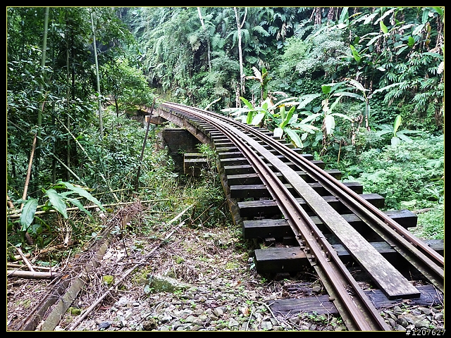 2011.11.21_獨客獨行再續鐵道情!(二、水社寮站-遇見國寶)