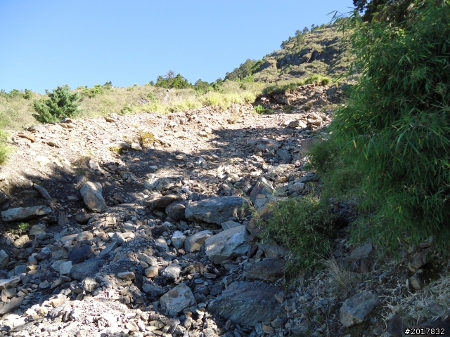 11/14塔塔加朝聖之旅(鹿林山跟玉山西峰下觀景台)