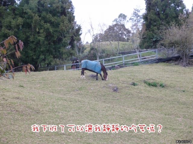 【勁戰騎士俱樂部】久違了,武嶺。