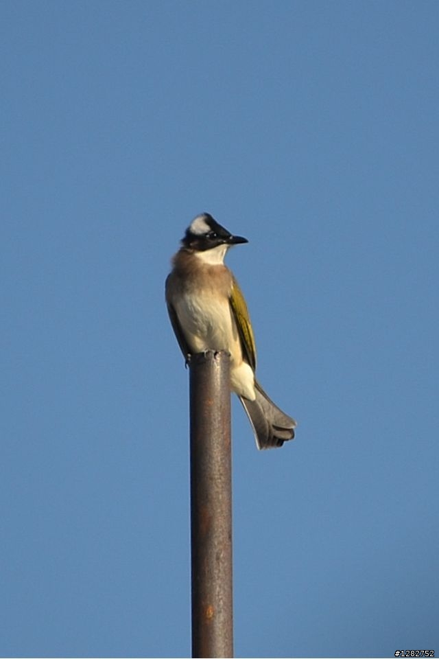 Nikon AF-S 55-200mm VR 大樓