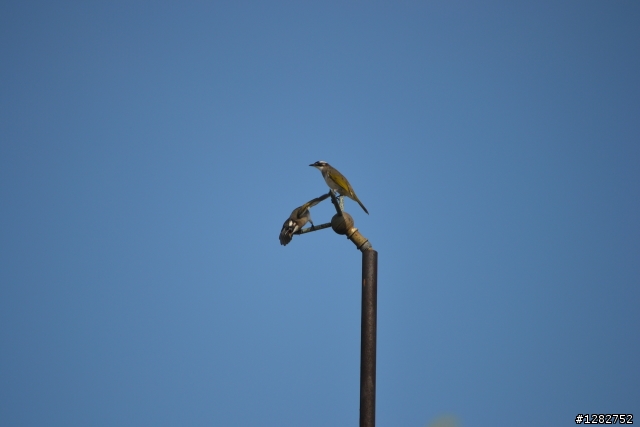 Nikon AF-S 55-200mm VR 大樓