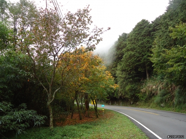 11/14塔塔加朝聖之旅(鹿林山跟玉山西峰下觀景台)