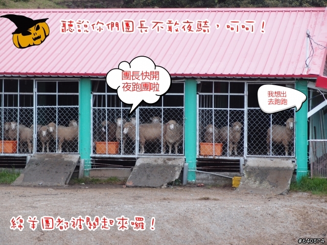 【勁戰騎士俱樂部】久違了,武嶺。