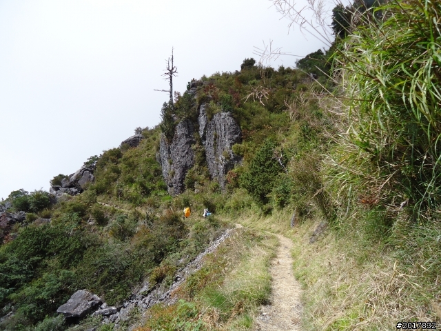 11/14塔塔加朝聖之旅(鹿林山跟玉山西峰下觀景台)