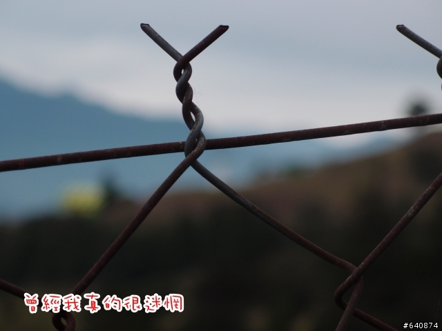 【勁戰騎士俱樂部】久違了,武嶺。