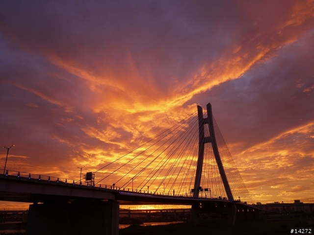 2011/11/27 新北大橋火燒雲夕景