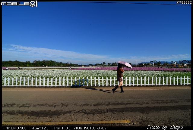 新社花海之 Nikon D7000+105微距 + T116 + A16II 攝影記錄