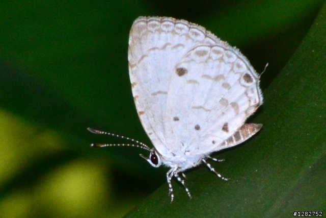 Nikon AF-S 55-200mm VR 大樓