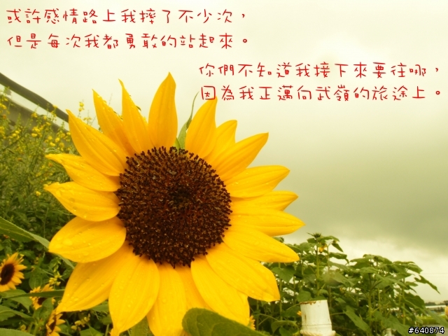 【勁戰騎士俱樂部】久違了,武嶺。