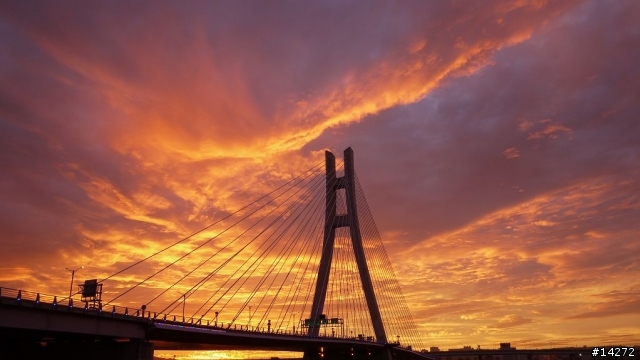2011/11/27 新北大橋火燒雲夕景