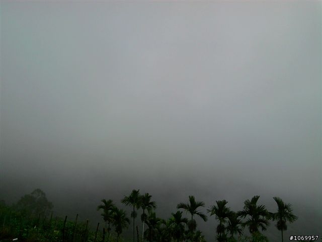 2011雲霧中的泰武單車遊