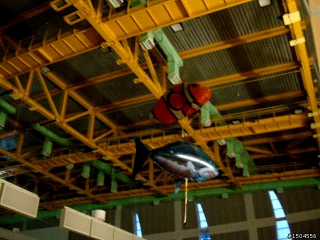 多功能行車紀錄器,Supercam M1 獵豹