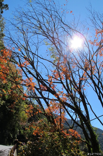 1203單騎雙北福壽山一日遊