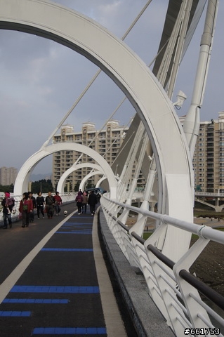 景點分享~新店區陽光橋