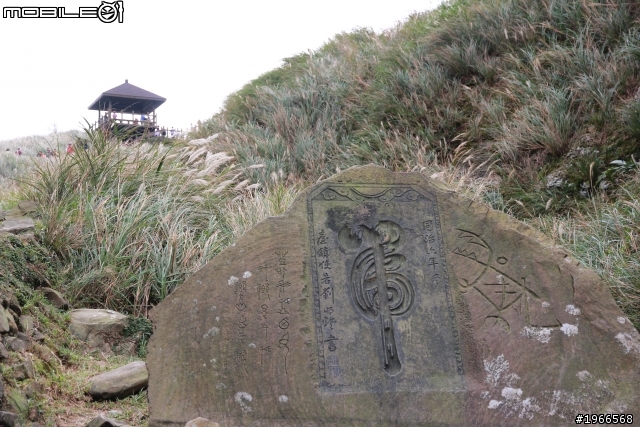 芒花拾穗~草嶺古道芒花季