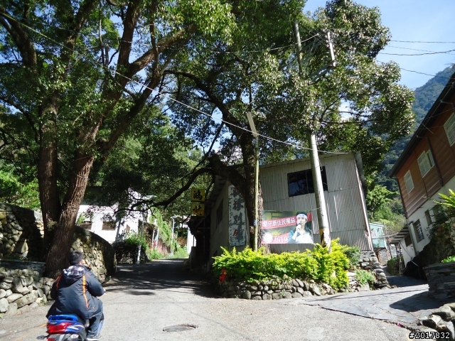 12/19新中橫行(東埔溫泉彩虹瀑布)