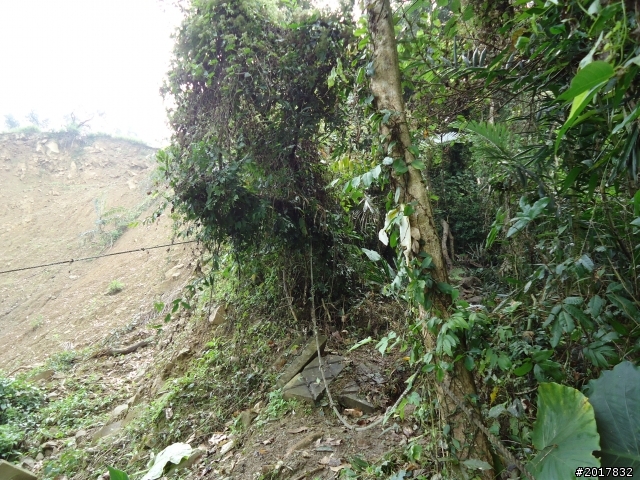 12/11南化烏山步道縱走(紫竹寺--烏山稜線--龍湖寺段)