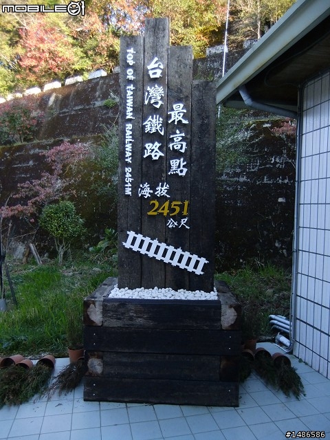 阿里山
