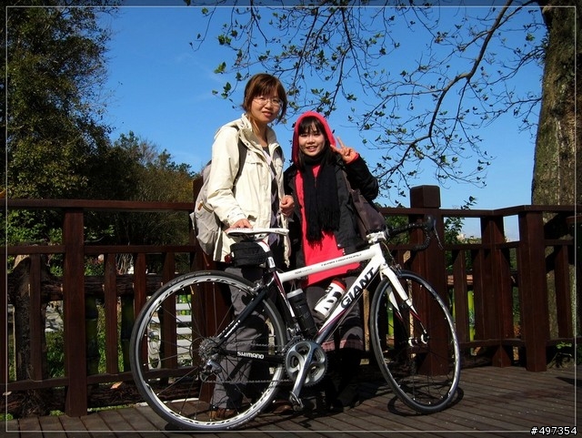 2011年 石門水庫、楓葉、晴