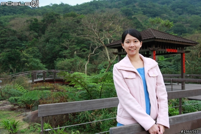 芒花拾穗~草嶺古道芒花季